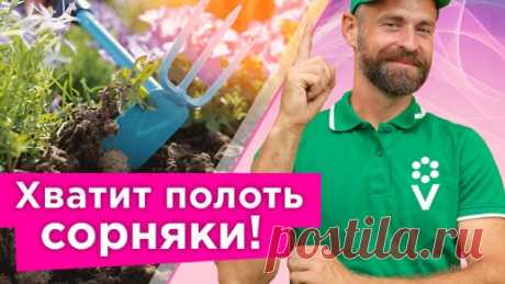 Как тратить в два раза меньше времени на прополку сорняков? Опытный садовод поделился своим секретом | Procvetok | Дзен