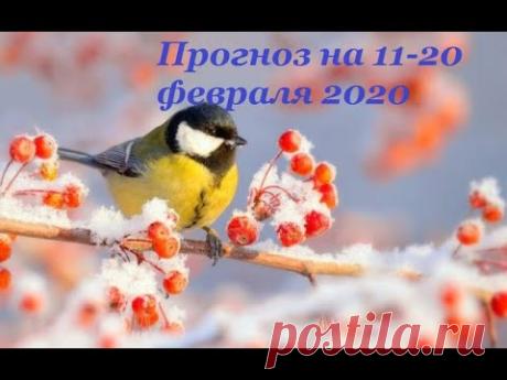 Таро Прогноз на февраль 2020  (период с 11 по 20 февраля  2020 года)