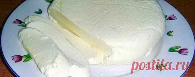 Готовим домашнюю БРЫНЗУ: из 2 л молока получаем 1 кг сыра! - Вкусняшки