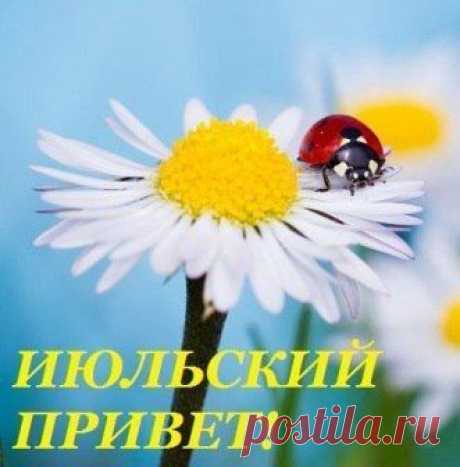 Светлана Болотова