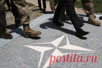 Вероятность выхода США из НАТО оценили