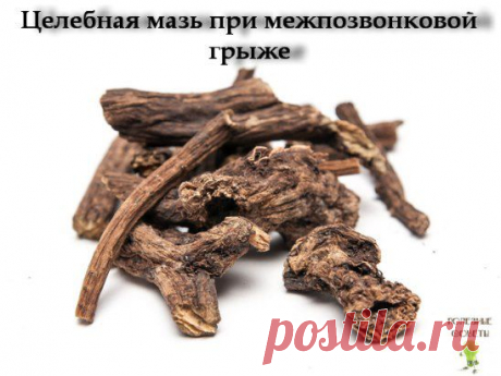Суставная мазь