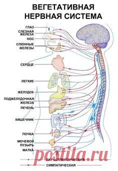 (675) Pinterest
