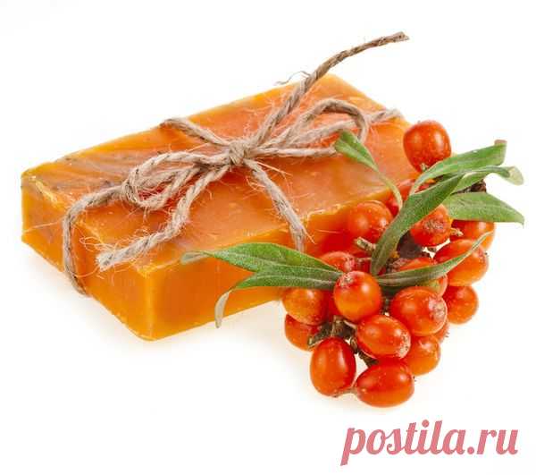 Облепиха: полезные и вкусные рецепты заготовок облепихи на зиму