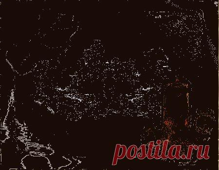 лечит...волшебная омела.