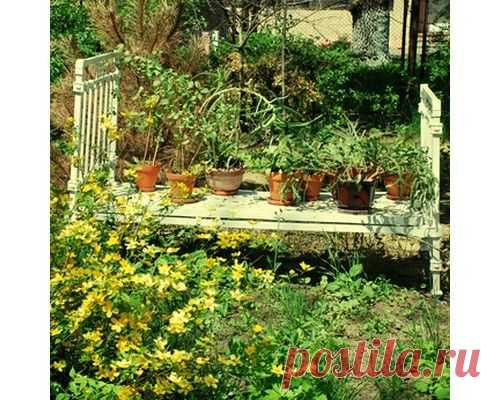 Бюджетные и оригинальные идеи для дачного участка | Твой Ремонт и Твоя дача!