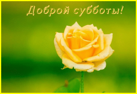 с субботой открытки - Поиск в Google