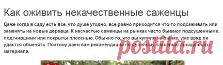 Как оживить некачественные саженцы
