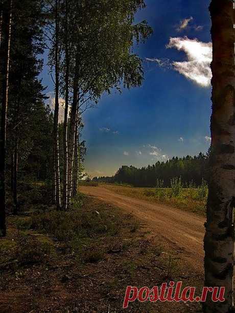 КАРЕЛИЯ,лес,природа,Сортавала