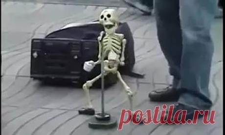 Скелет «затанцевал» зрителей до смеха. На это можно смотреть бесконечно!