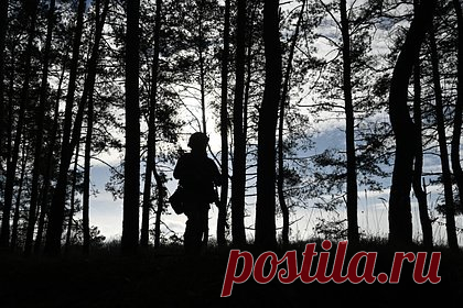 Российский военный поймал огромный дрон ВСУ «Баба Яга» с помощью веревки. Боец 15-й отдельной гвардейской мотострелковой бригады с позывным Ванек рассказал, как поймал огромный украинский беспилотник «Баба Яга» с помощью веревки. Ванек рассказал, что переоборудованный под военные нужды аграрный дрон несколько дней «терроризировал» позиции российских бойцов.