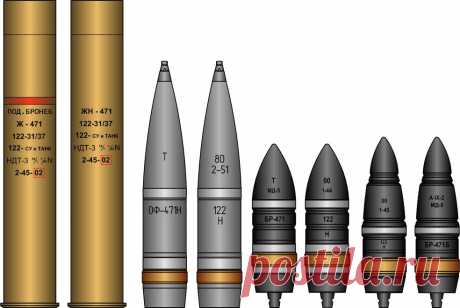 D25T_shells.jpg (984×659)