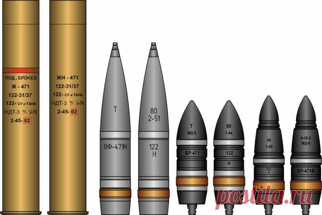 D25T_shells.jpg (984×659)