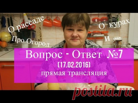 Прямая трансляция №7 (17.02.2016). Отвечаю на ваши вопросы. - YouTube