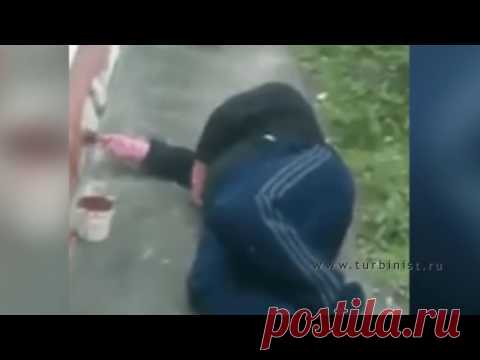 Про лень в её апогее