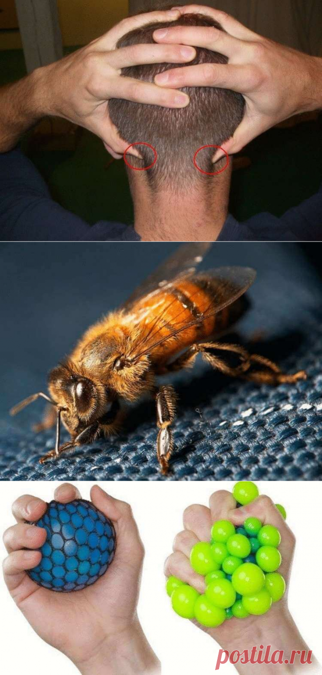 6 способов справиться с высоким кровяным давлением за несколько минут | Бабушкины секретики