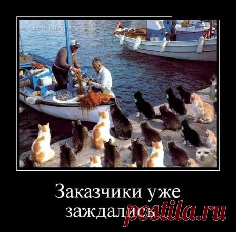 Демотиваторы для всех!