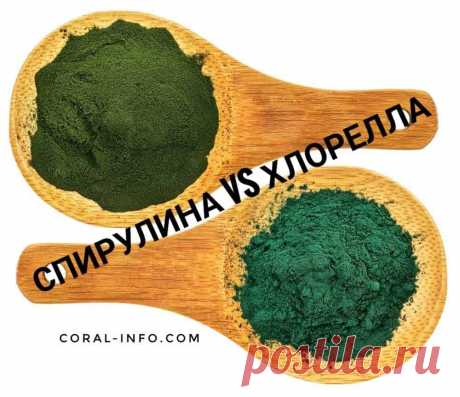 Чем отличаются хлорелла и спирулина
Хлорелла и спирулина сегодня активно набирают популярность среди любителей здорового образа жизни и не только, и на это есть свои причины. Биологически активные добавки на основе водорослей приносят неоценимую пользу для организма. 
Хлорелла и спирулина имеют общие свойства и отличия, поэтому многие задаются вопросом: что лучше – спирулина или хлорелла? Рассмотрим, в чем состоит отличие этих продуктов, какие они имеют особенности, что пр...