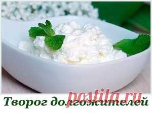 ТВОРОГ ДОЛГОЖИТЕЛЕЙ | Лучшие рецепты с фото