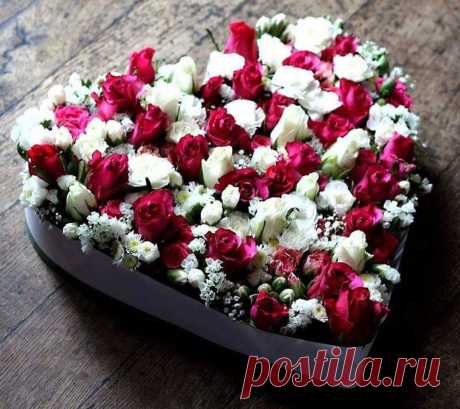 (101) Beautiful World of Flowers