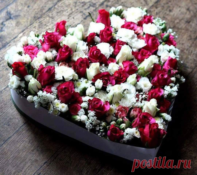 (101) Beautiful World of Flowers