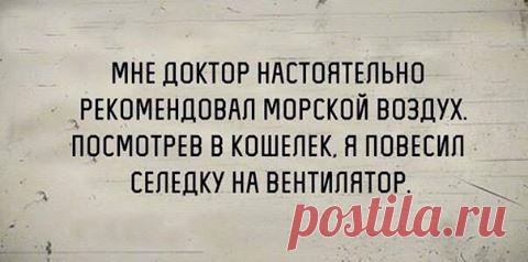 Прикольные картинки онлайн (44 шт)