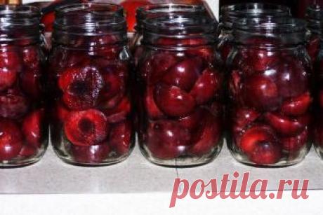 Консервация слив – быстро, просто и вкусно