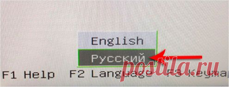 WINDOWS заблокирован вирусом. Что делать?
