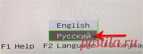 WINDOWS заблокирован вирусом. Что делать?