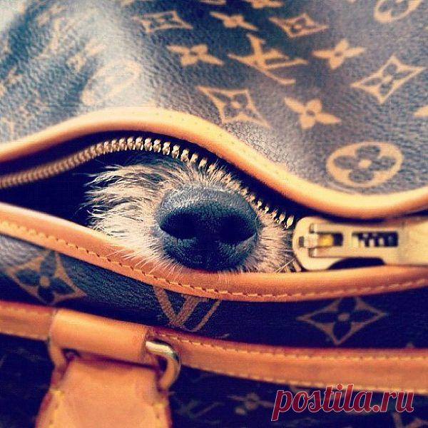 Меня не интересует ваша личная жизнь и хотелось бы, чтобы это было взаимно ©