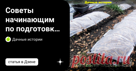 Советы начинающим по подготовке почвы (доломитка, триходерма, pH) осенью для богатого урожая в следующем году Статья автора «Дачные истории» в Дзене ✍: Добрый день, дорогие друзья, садоводы и огородники! Приветствую вас в нашем сообществе "Дачные истории". Часть 1.