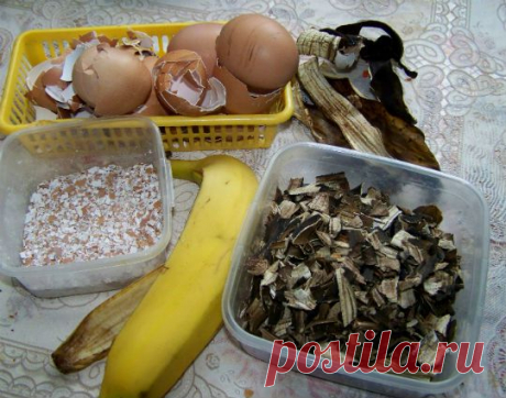удобрение из банановых шкурок
