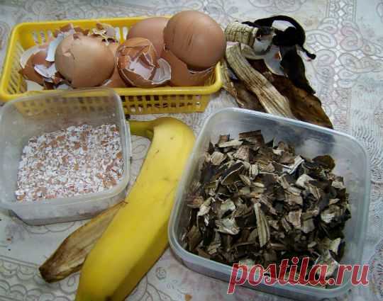 удобрение из банановых шкурок