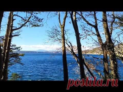 Ужас в городе Риека, вся Хорватия в шоке. А можно ли было предотвратить ?