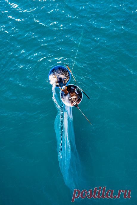 Над Землей взошло Розовое суперлуние (фото) - Новости Mail.ru