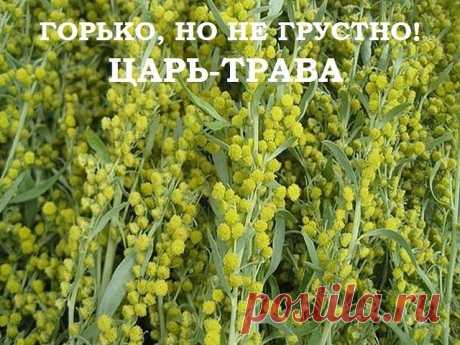 (3) Одноклассники