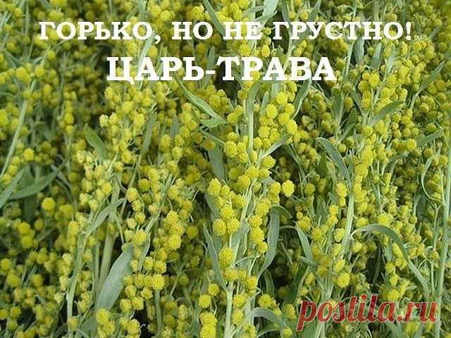 (3) Одноклассники
