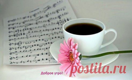 Главное с утра - вспомнить, ради чего все это, и, улыбнувшись, начать день! Доброе утро, друзья.
