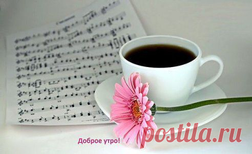 Главное с утра - вспомнить, ради чего все это, и, улыбнувшись, начать день! Доброе утро, друзья.