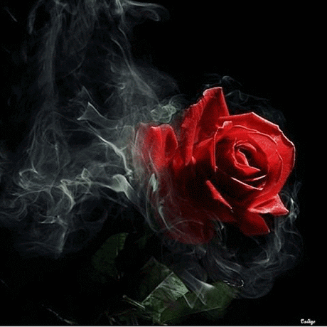 GiF WORLD – Google+