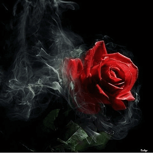 GiF WORLD – Google+