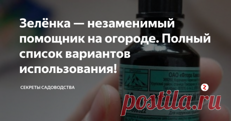 Зелёнка — незаменимый помощник на огороде. Полный список вариантов использования!