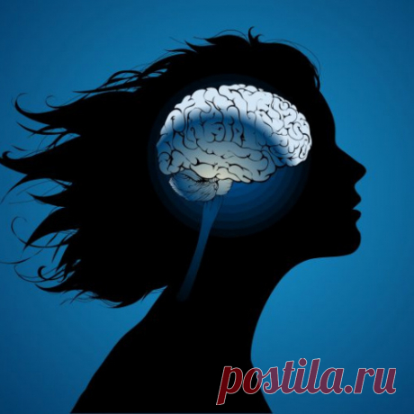 8 особенностей нашего мозга, до сих пор не разгаданных учёными
