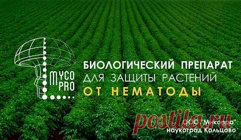Нематофагин Микопро против нематоды купить