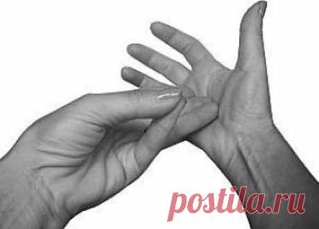 ✨МУДРА, ПРИТЯГИВАЮЩАЯ ЛЮДЕЙ НА КОНКРЕТНУЮ ЦЕЛЬ ✨МУДРА, ПРИТЯГИВАЮЩАЯ ЛЮДЕЙ НА КОНКРЕТНУЮ ЦЕЛЬ
Эта мудра обладает конкретным действием – позволяет вам стать привлекательным именно для тех, кто вам необходим в данный момент. Ведь эта мудра помогает притянуть людей не просто для теплых взаимоотношений, дружбы и любви, но для какой-то определенной цели.

Основное отличие этой мудры от предыдущей – в том, что она не только повышает вашу привлекательность для этих людей, но обла...