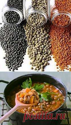 Чечевичная диета - Блог Марина на 24open.ru