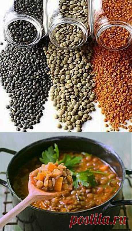 Чечевичная диета - Блог Марина на 24open.ru