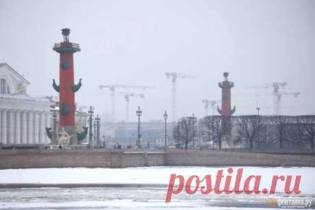 В Петербурге заметили туман - 8 февраля 2025 - ФОНТАНКА.ру