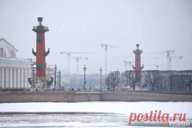 В Петербурге заметили туман - 8 февраля 2025 - ФОНТАНКА.ру