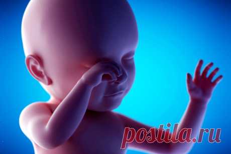 40 недель одиночества: как плод проводит время до рождения - Статьи - Беременность - Дети Mail.ru